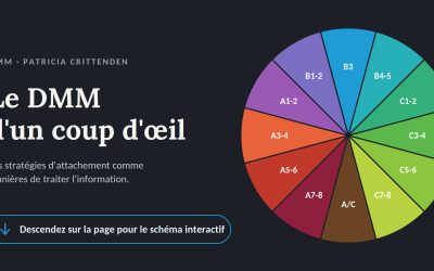 Le DMM d&rsquo;un coup d&rsquo;œil : schéma interactif d&rsquo;exploration des stratégies d&rsquo;attachement.